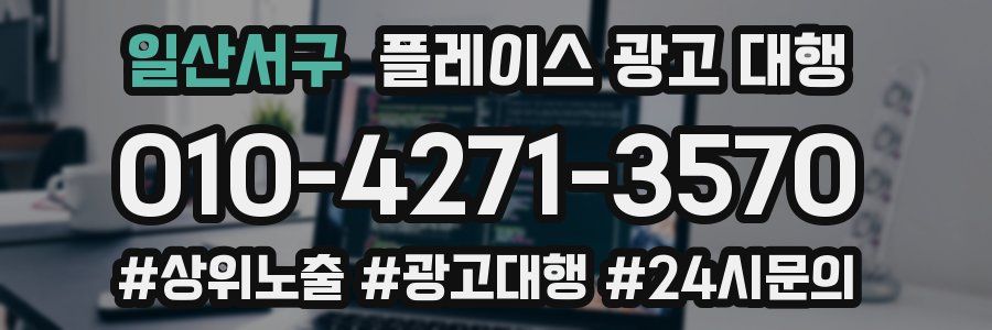 일산서구 플레이스 광고 대행