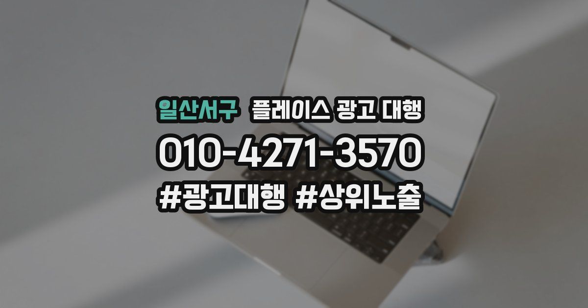 일산서구 플레이스 광고 대행