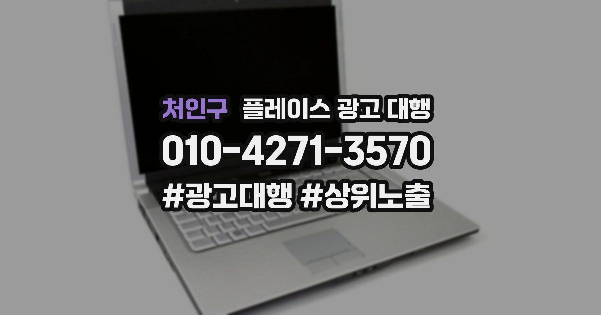 처인구 플레이스 광고 대행