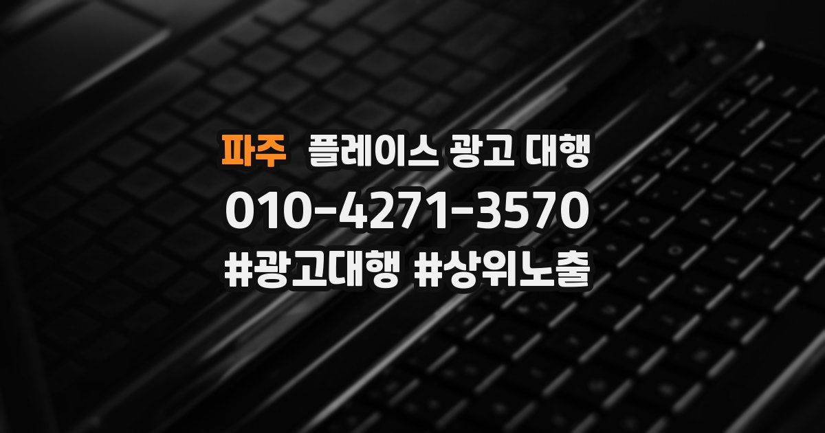 파주 플레이스 광고 대행