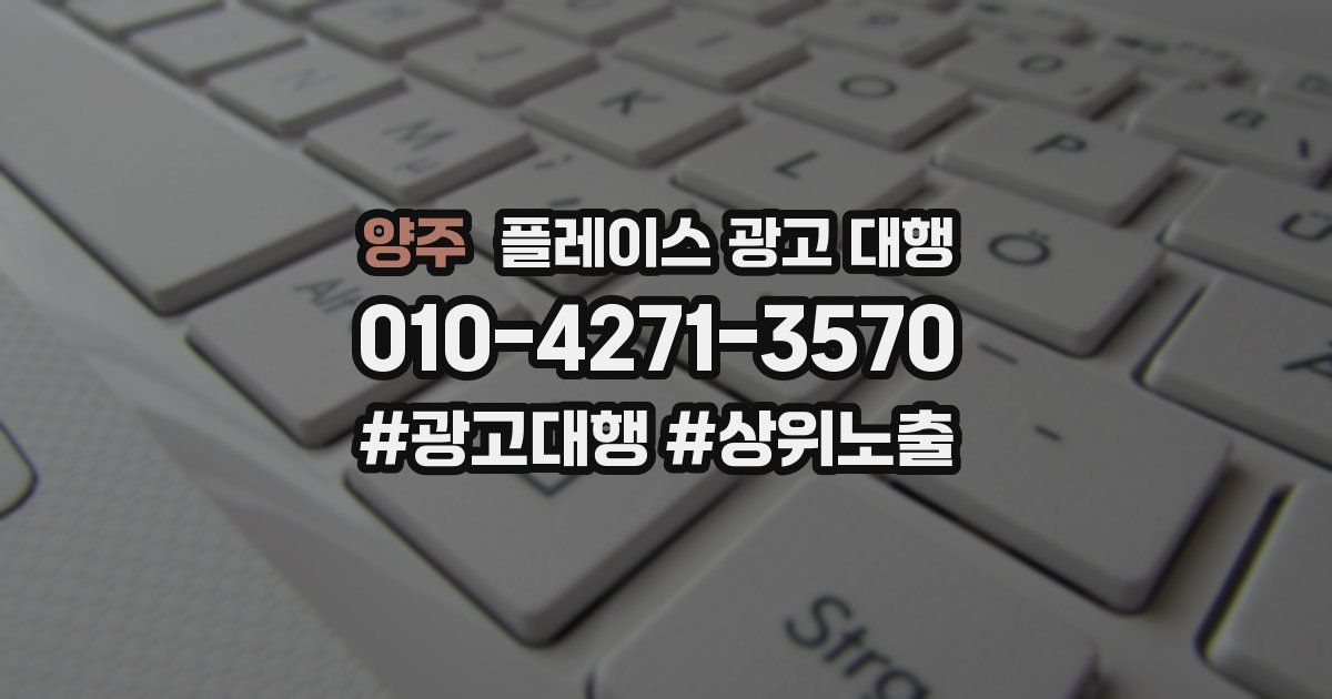 양주 플레이스 광고 대행