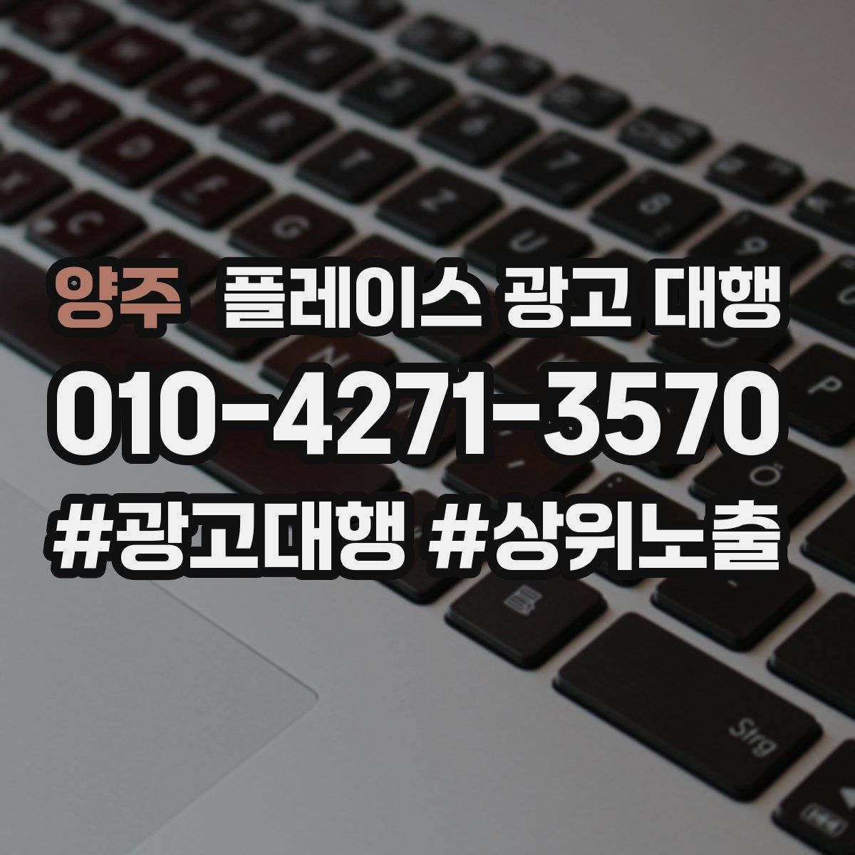 양주 플레이스 광고 대행