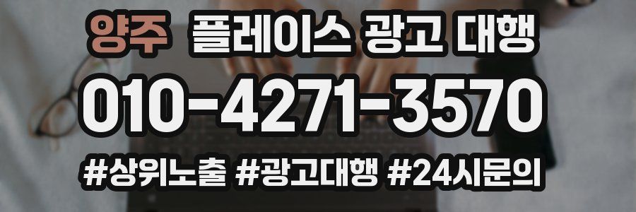 양주 플레이스 광고 대행