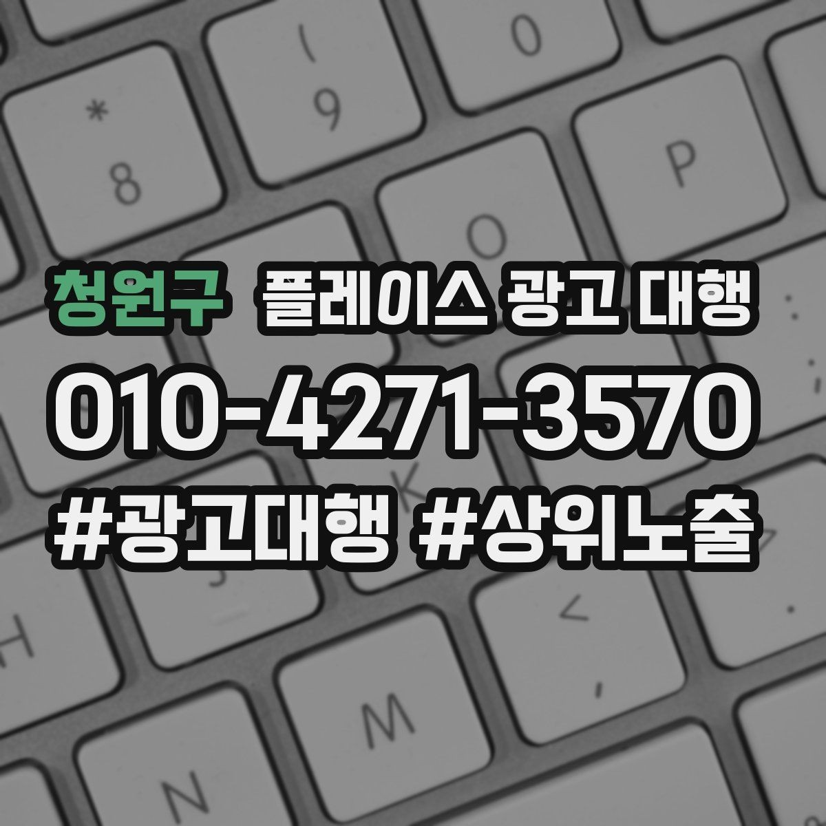청원구 플레이스 광고 대행 예산 대비 효율을 살피는 관점