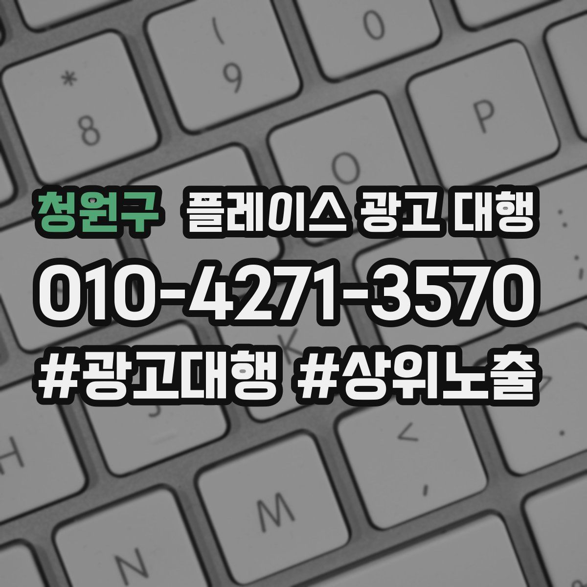 청원구 플레이스 광고 대행