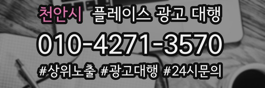 천안시 플레이스 광고 대행