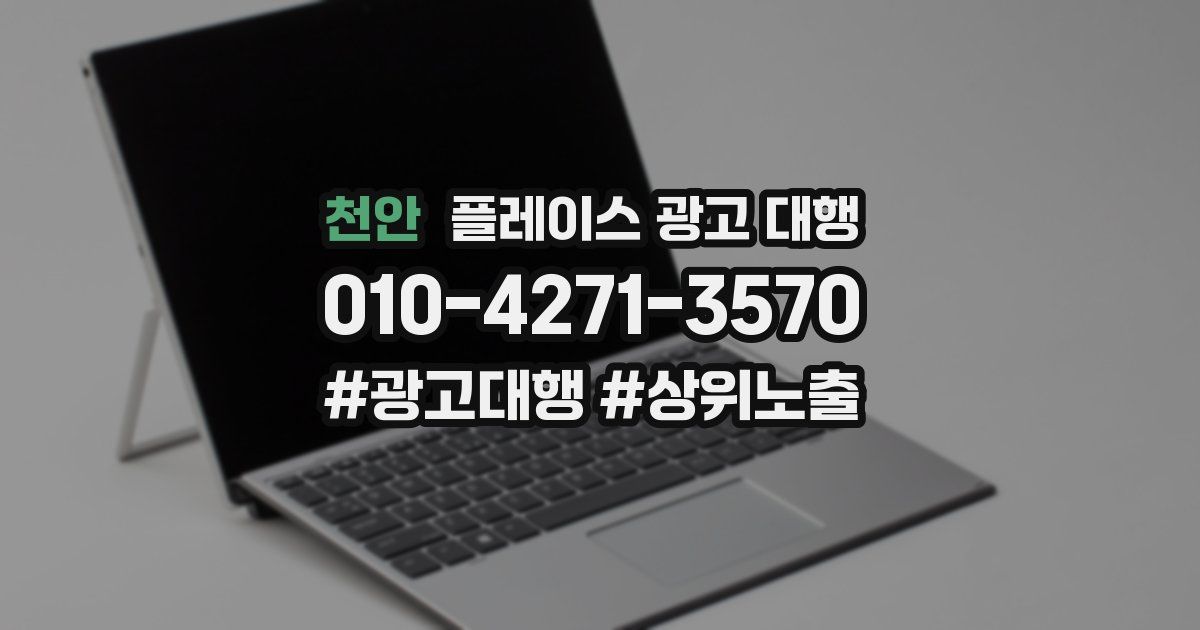 천안 플레이스 광고 대행
