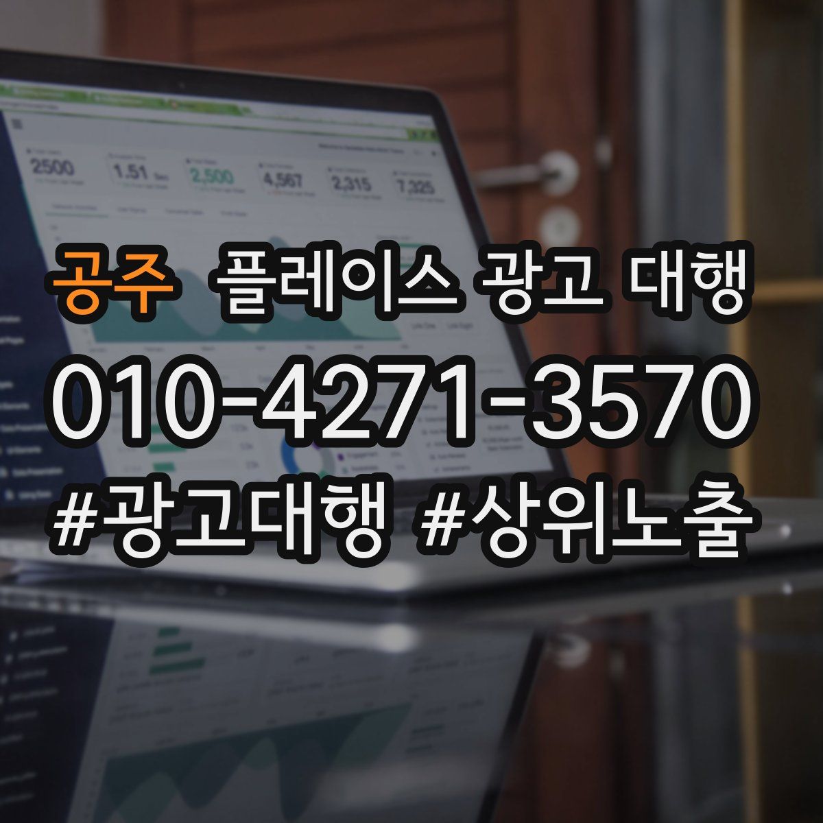 공주 플레이스 광고 대행