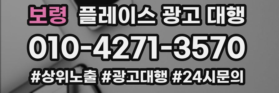 보령 플레이스 광고 대행