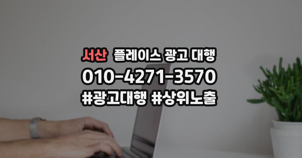 서산 플레이스 광고 대행