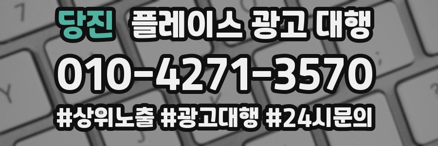 당진 플레이스 광고 대행