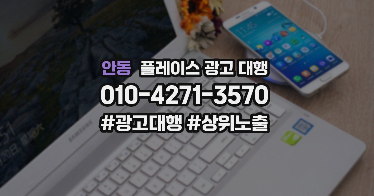 안동 플레이스 광고 대행