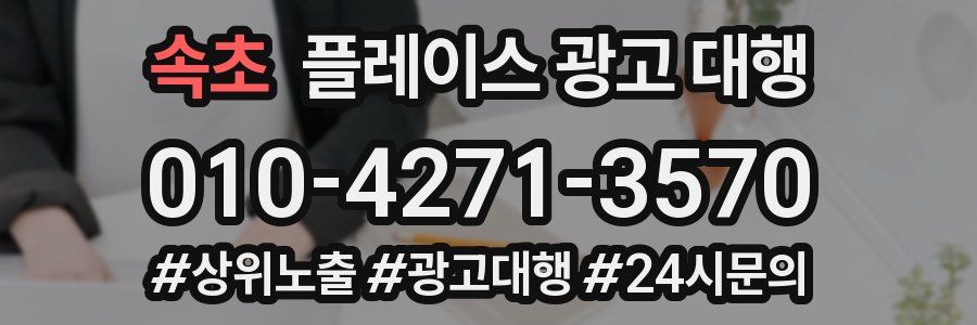 속초 플레이스 광고 대행