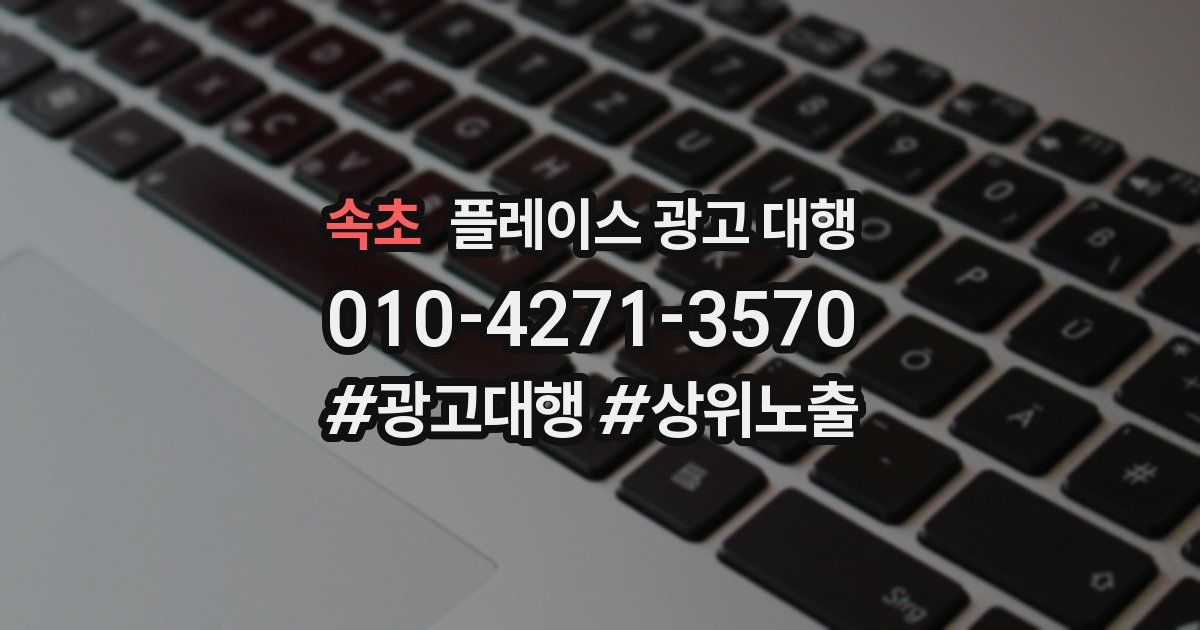 속초 플레이스 광고 대행