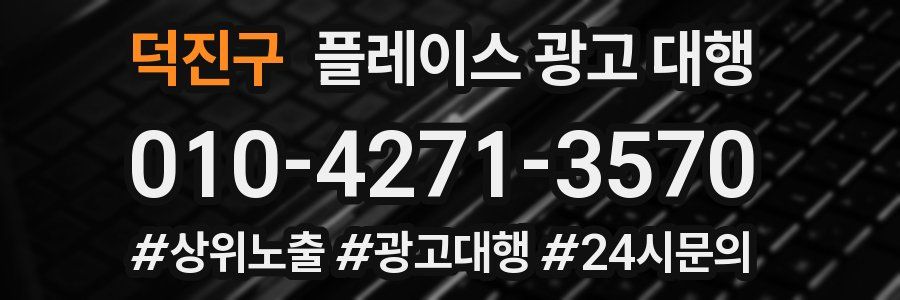 덕진구 플레이스 광고 대행