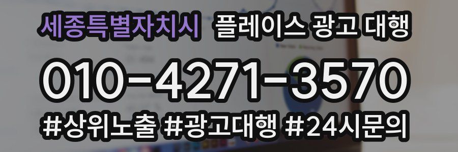 세종특별자치시 플레이스 광고 대행