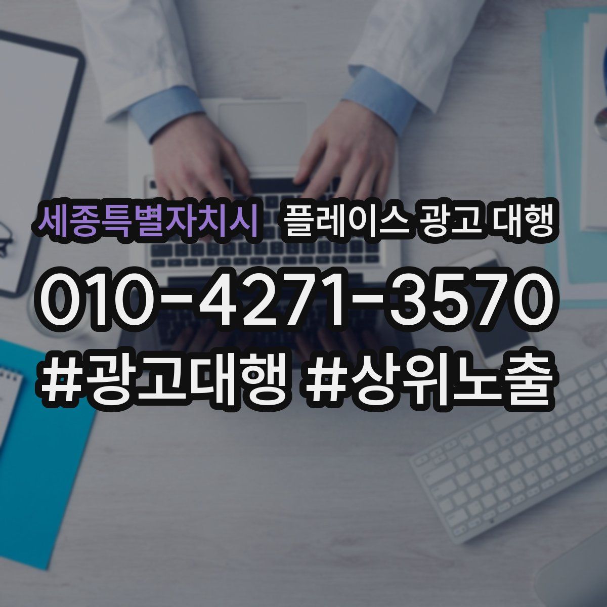 세종특별자치시 플레이스 광고 대행