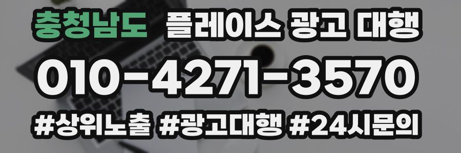 충청남도 플레이스 광고 대행