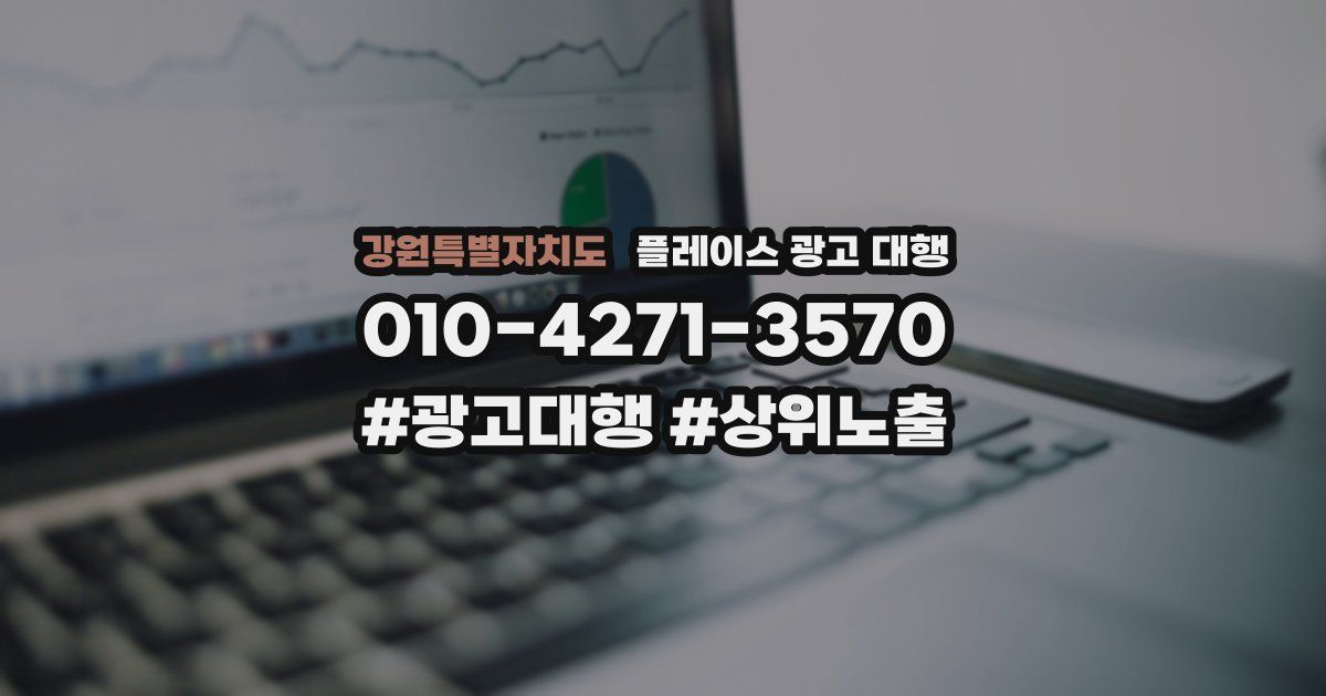 강원특별자치도 플레이스 광고 대행