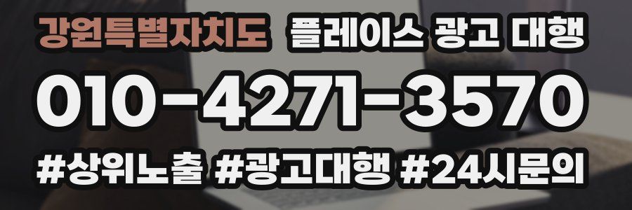 강원특별자치도 플레이스 광고 대행