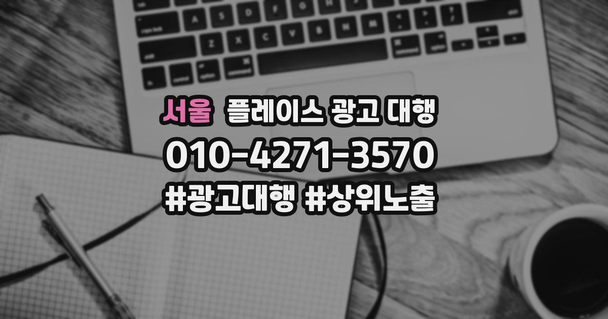 서울 플레이스 광고 대행