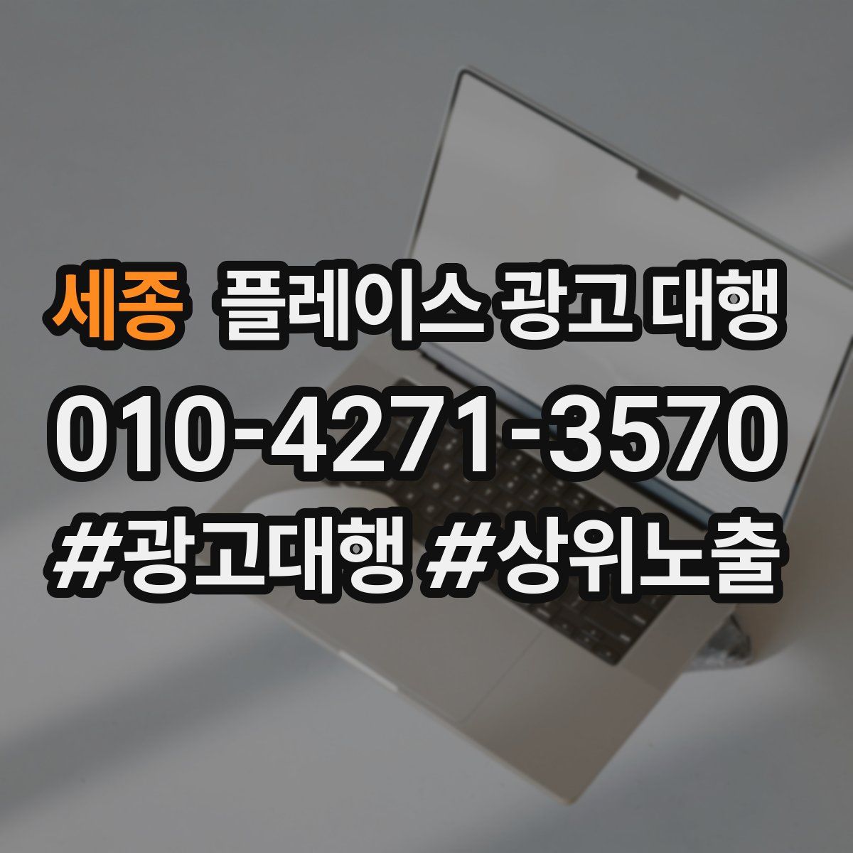 세종 플레이스 광고 대행