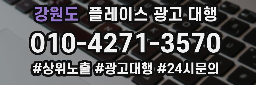 강원도 플레이스 광고 대행