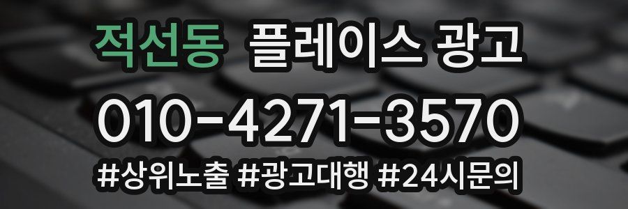 적선동 플레이스 광고