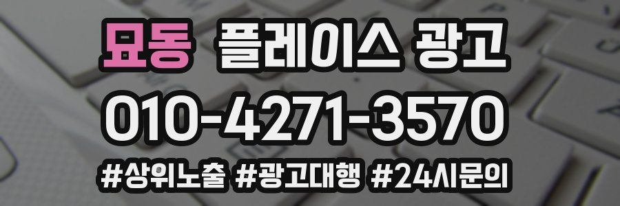 묘동 플레이스 광고