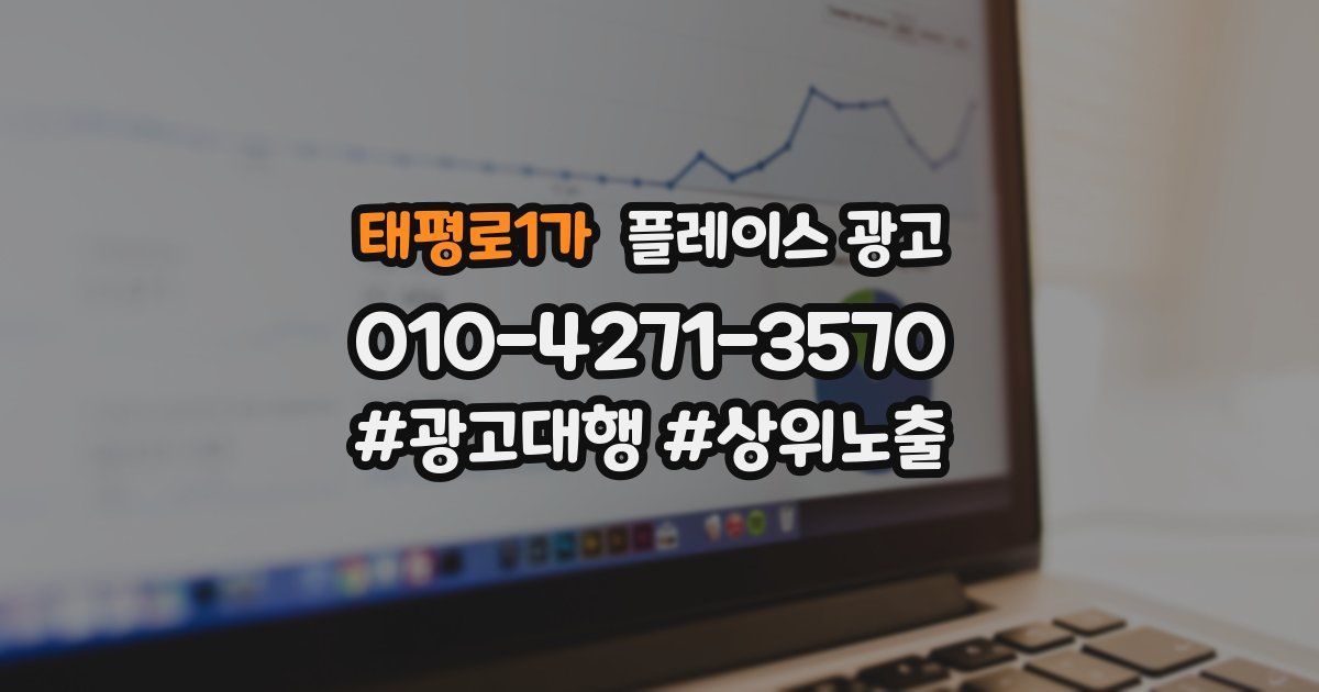 태평로1가 플레이스 광고