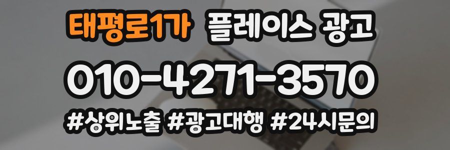 태평로1가 플레이스 광고