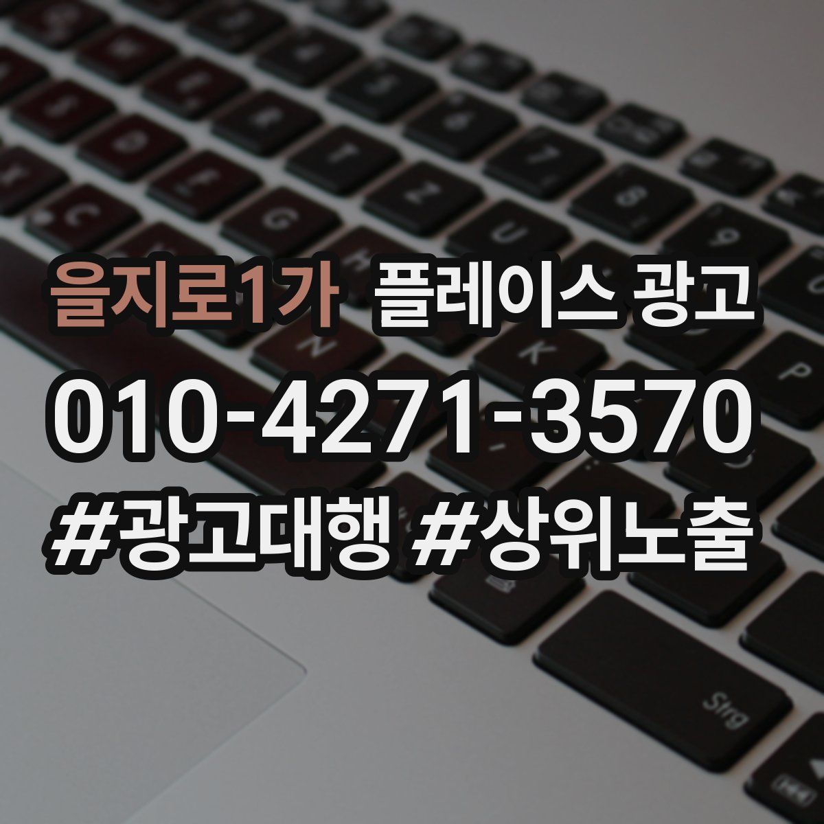 을지로1가 플레이스 광고