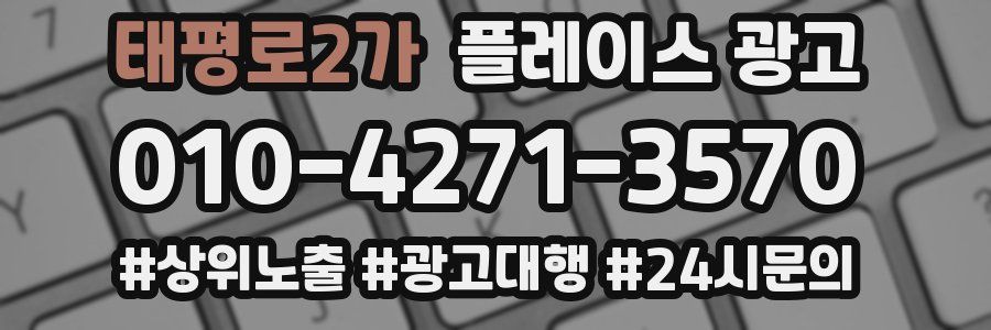 태평로2가 플레이스 광고