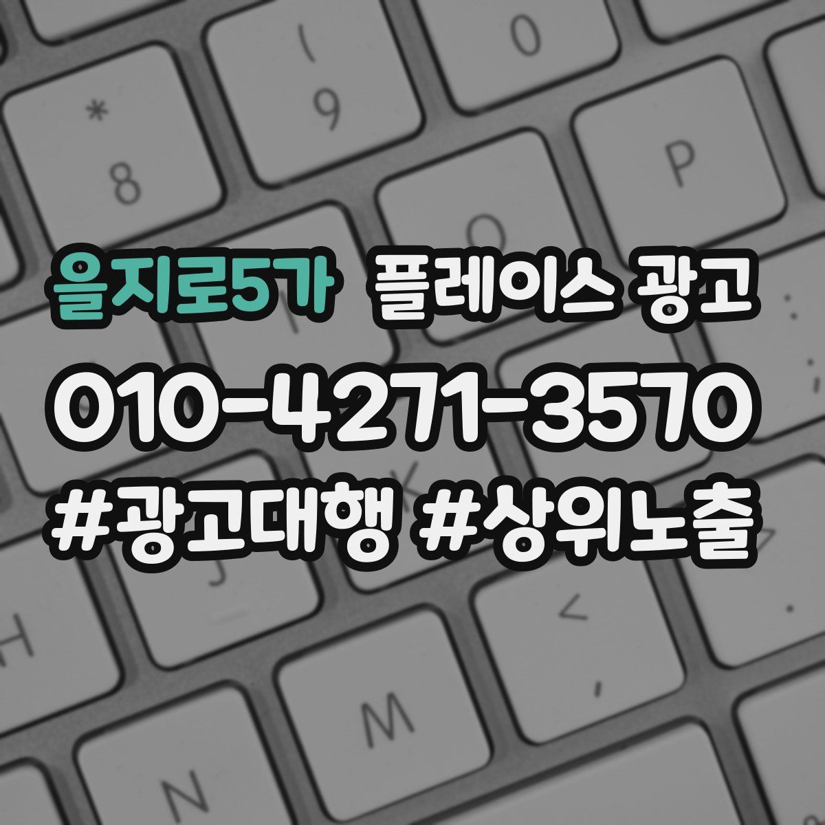 을지로5가 플레이스 광고