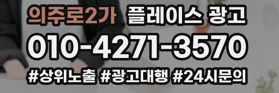 의주로2가 플레이스 광고