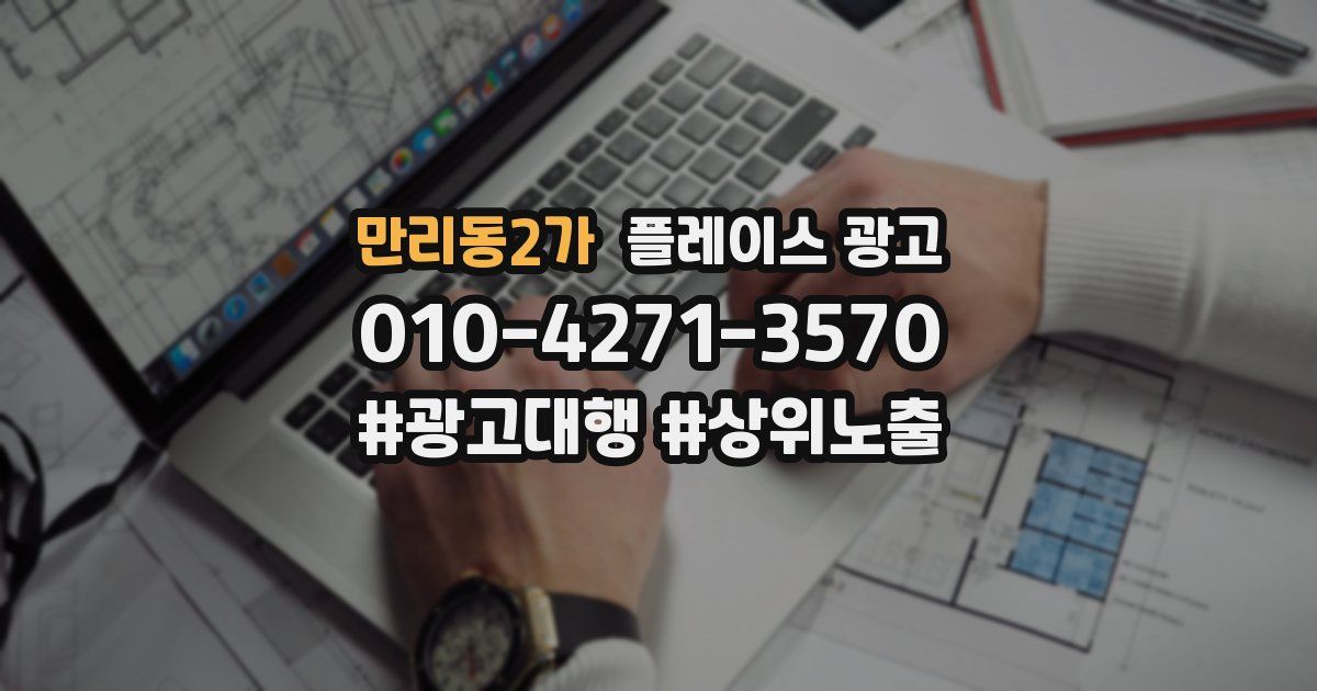 만리동2가 플레이스 광고