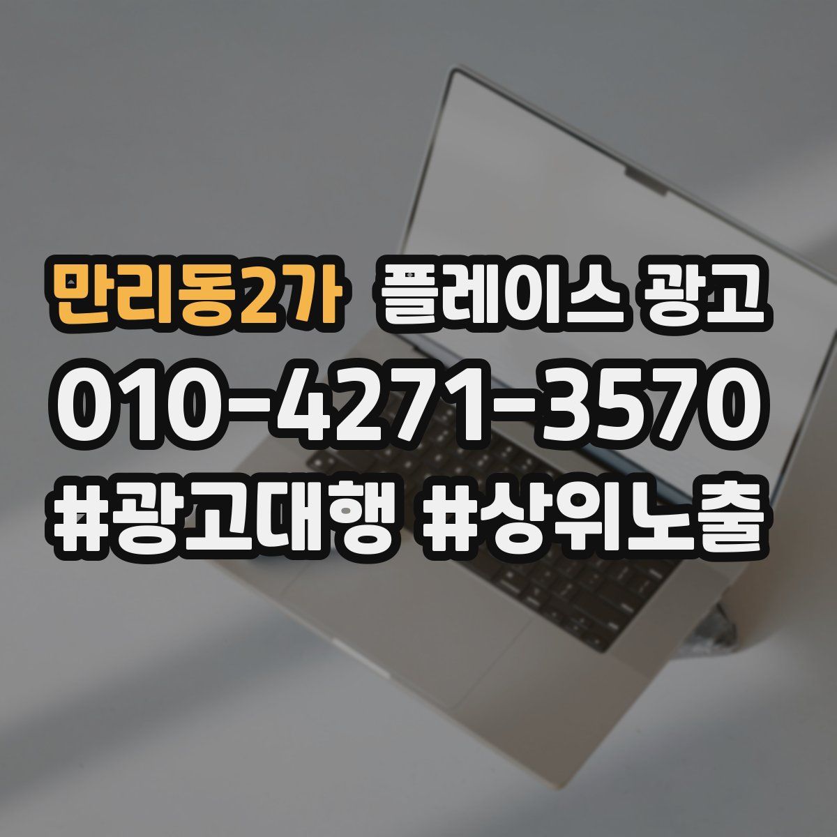 만리동2가 플레이스 광고