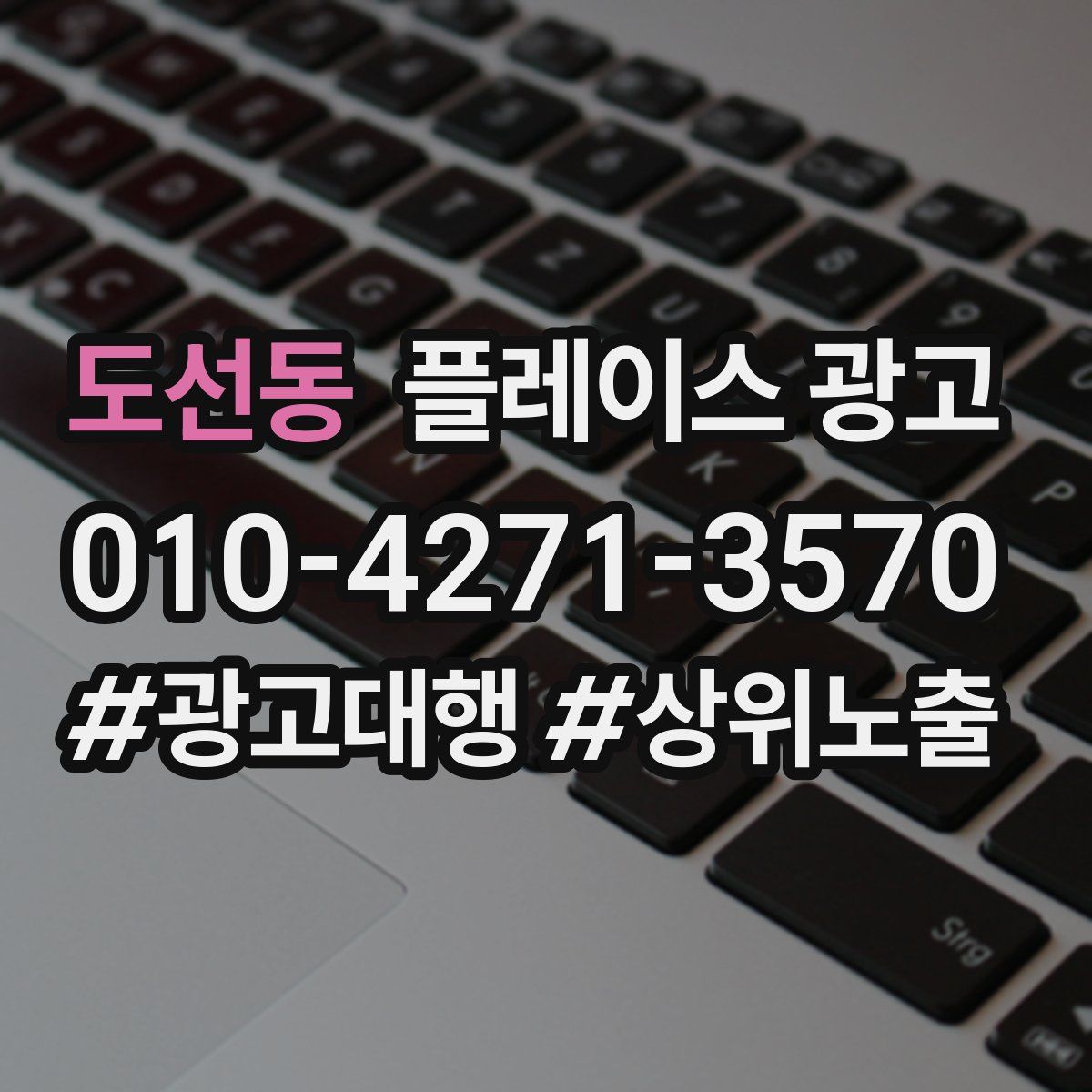 도선동 플레이스 광고
