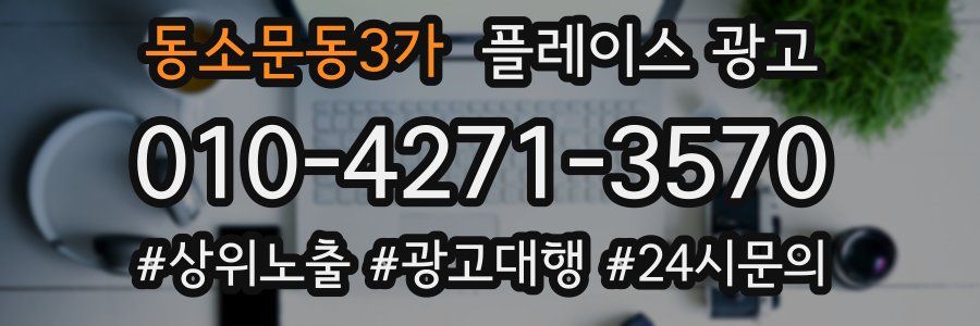 동소문동3가 플레이스 광고