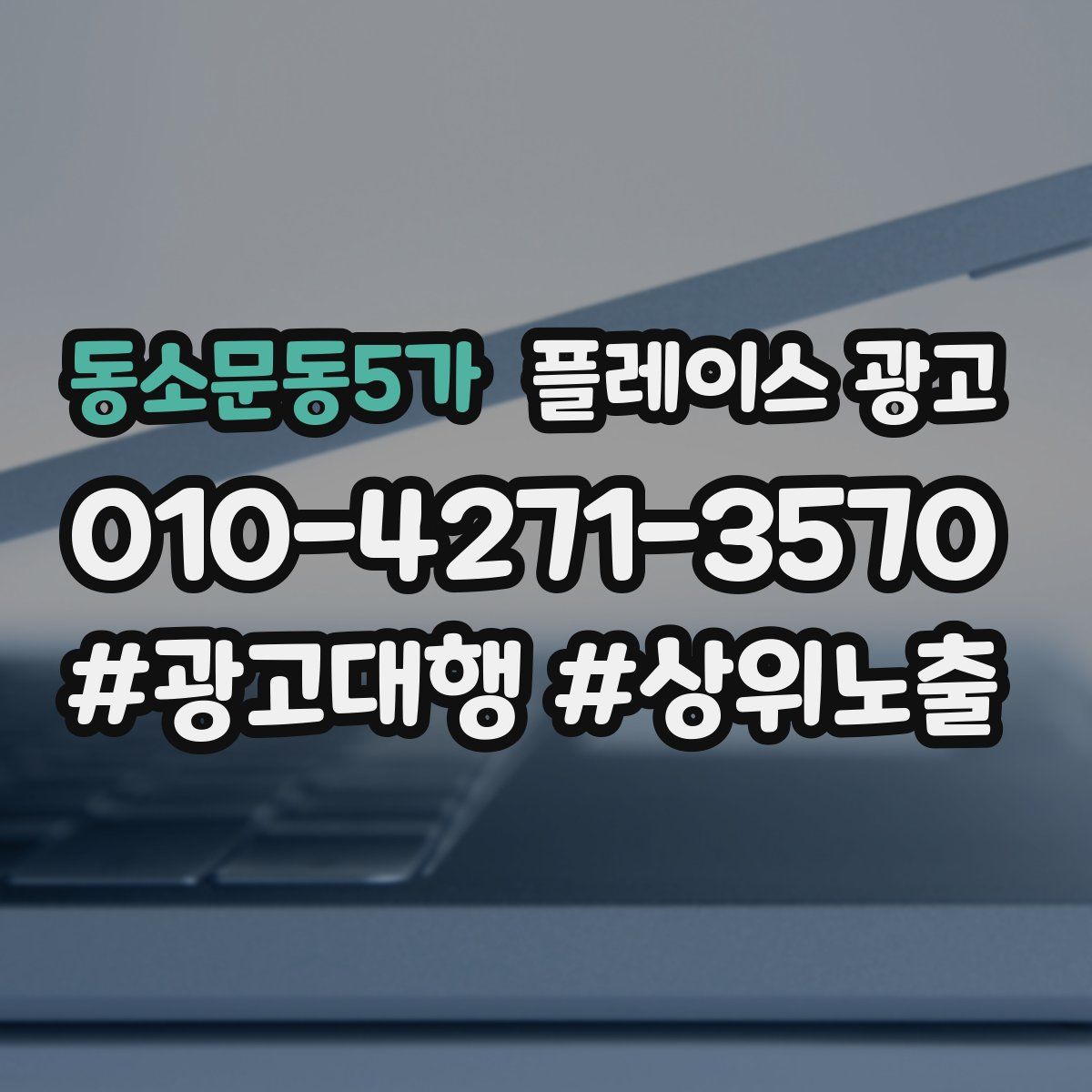 동소문동5가 플레이스 광고