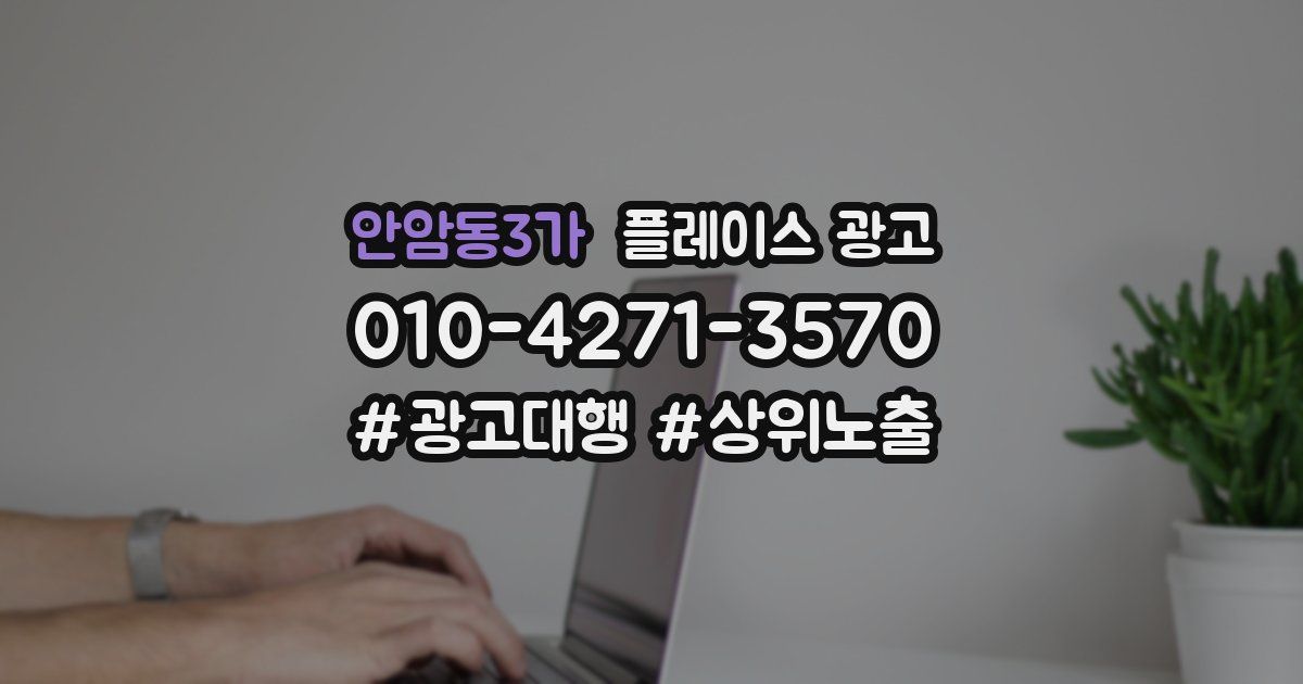 안암동3가 플레이스 광고