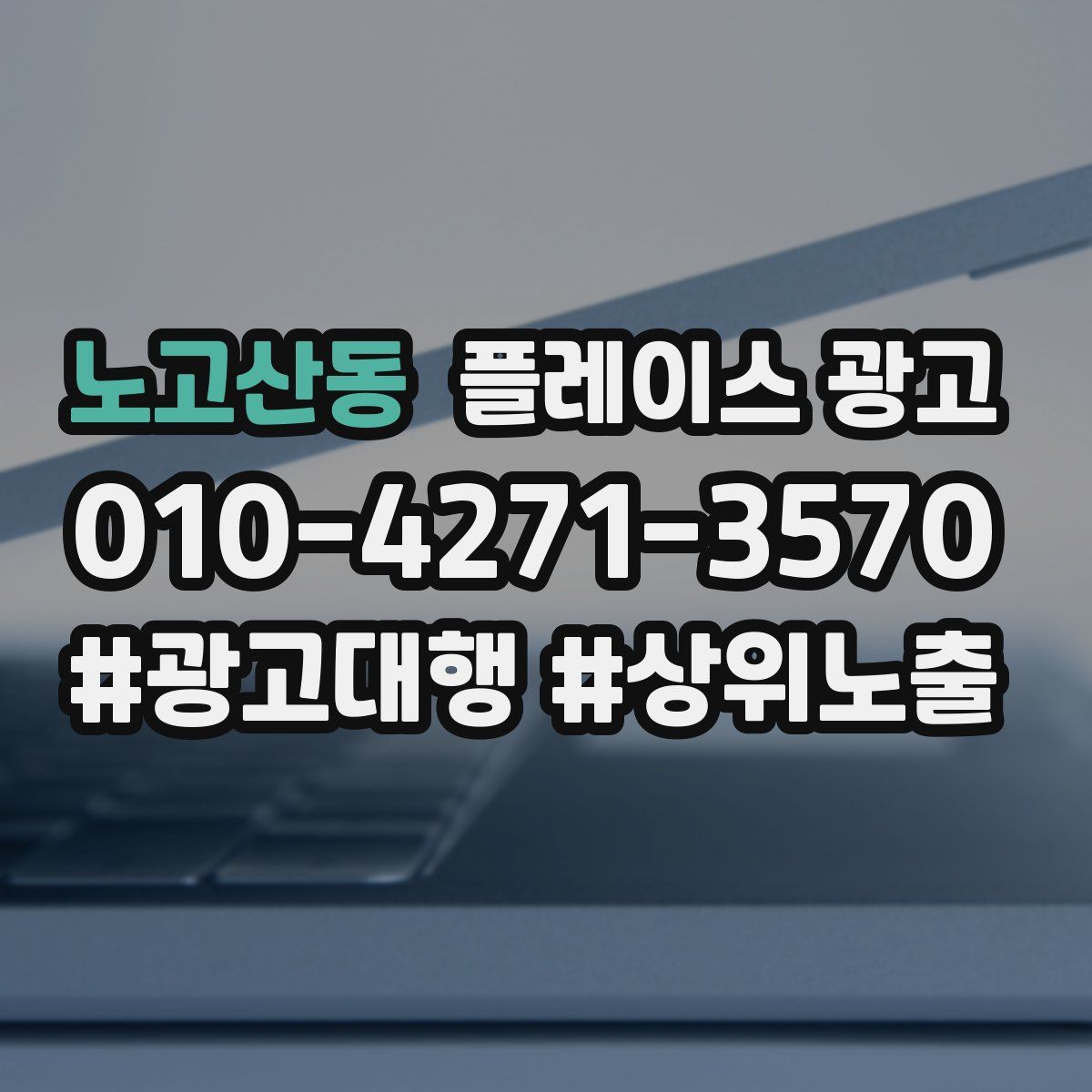 노고산동 플레이스 광고