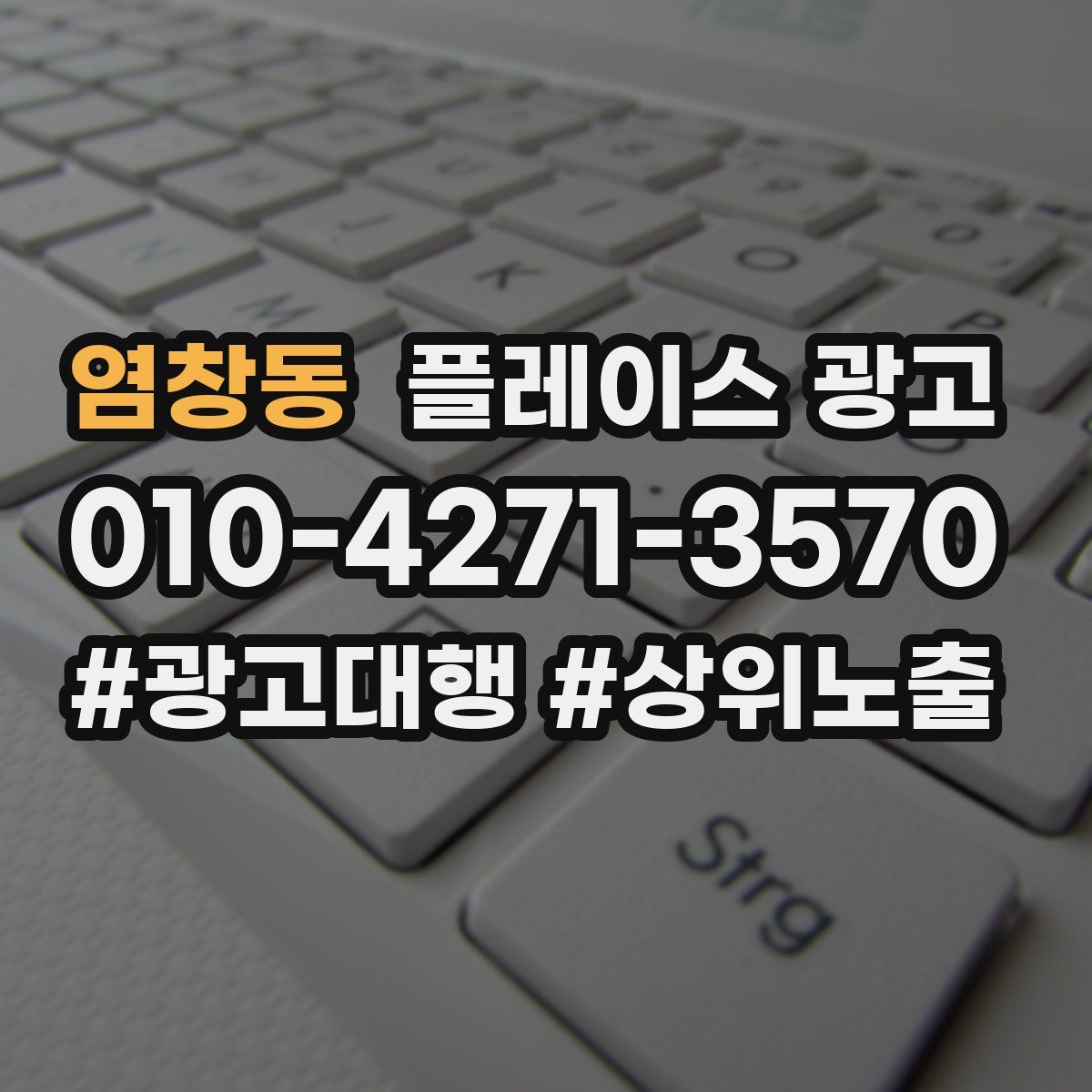 염창동 플레이스 광고