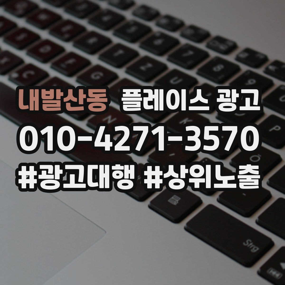 내발산동 플레이스 광고