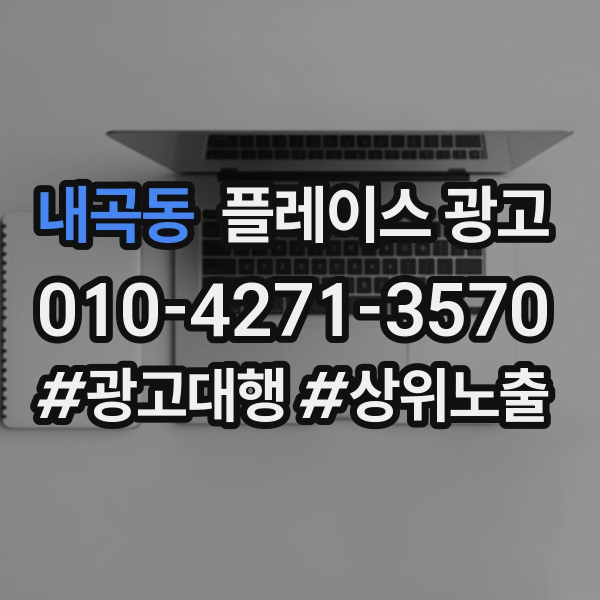 내곡동 플레이스 광고