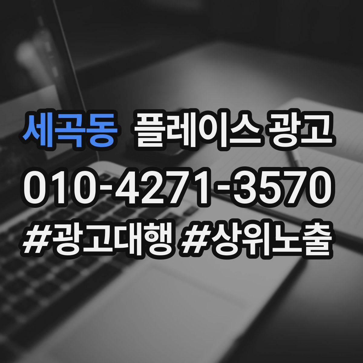 세곡동 플레이스 광고