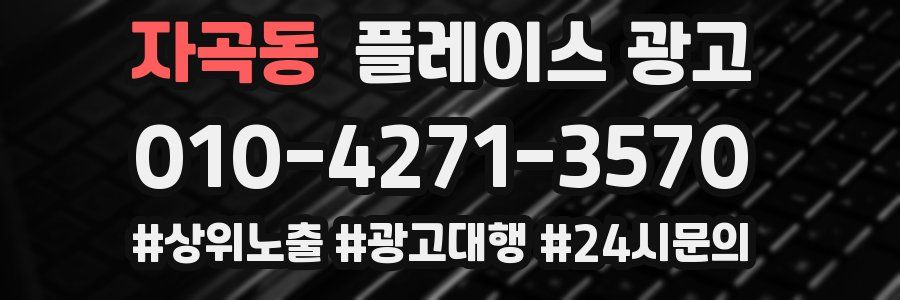 자곡동 플레이스 광고