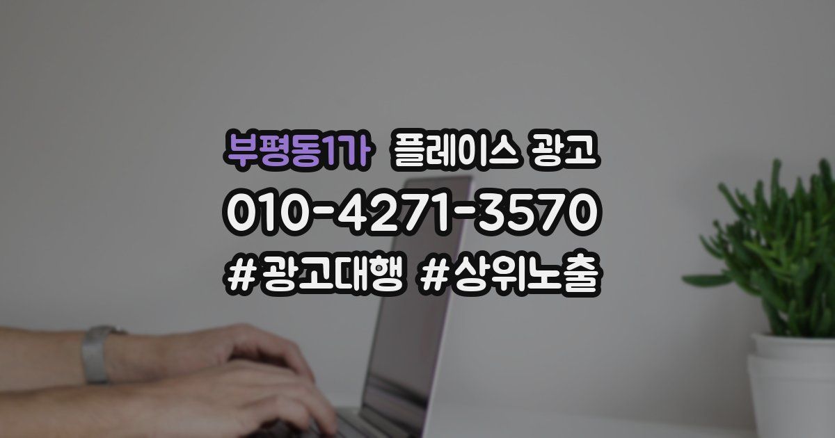 부평동1가 플레이스 광고