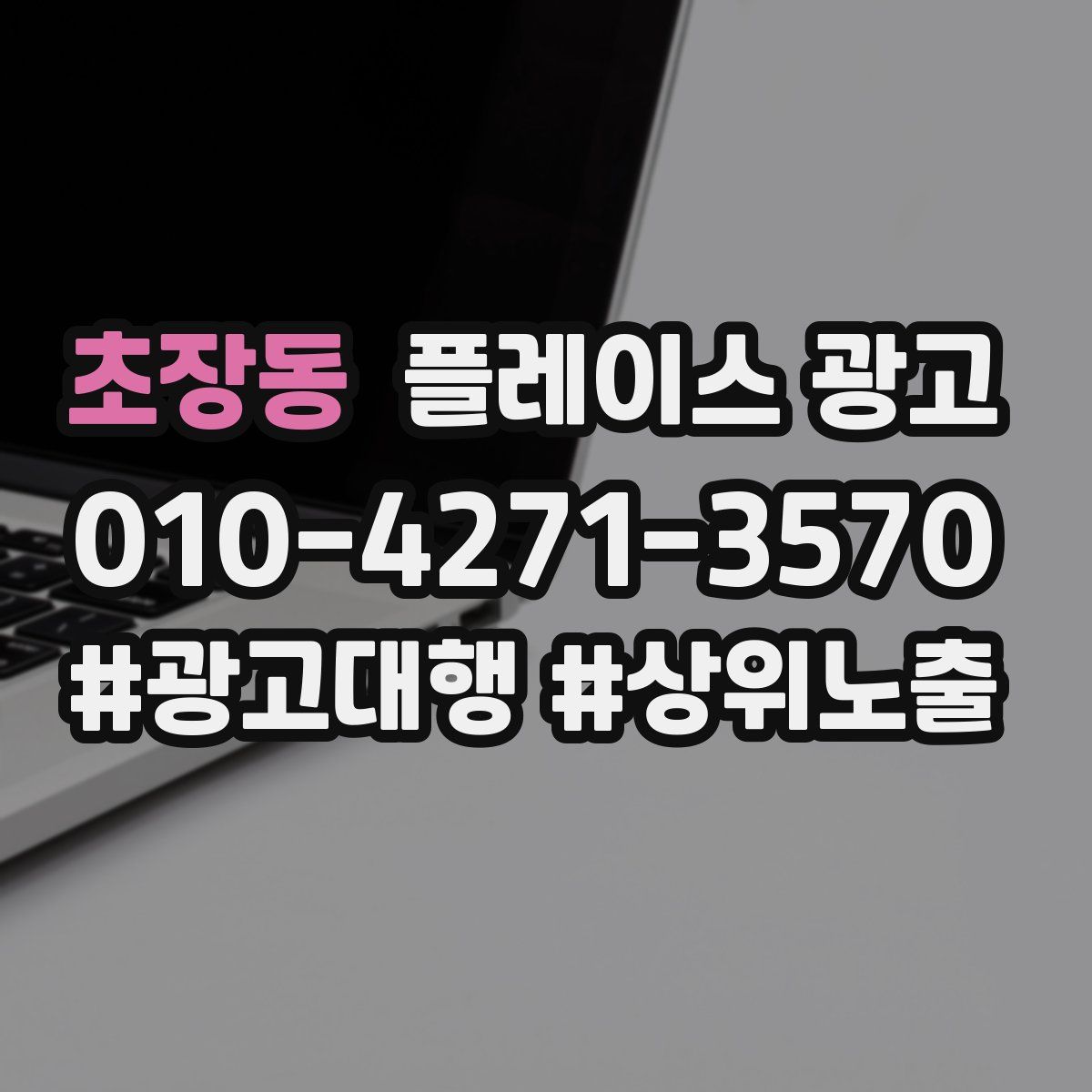 초장동 플레이스 광고