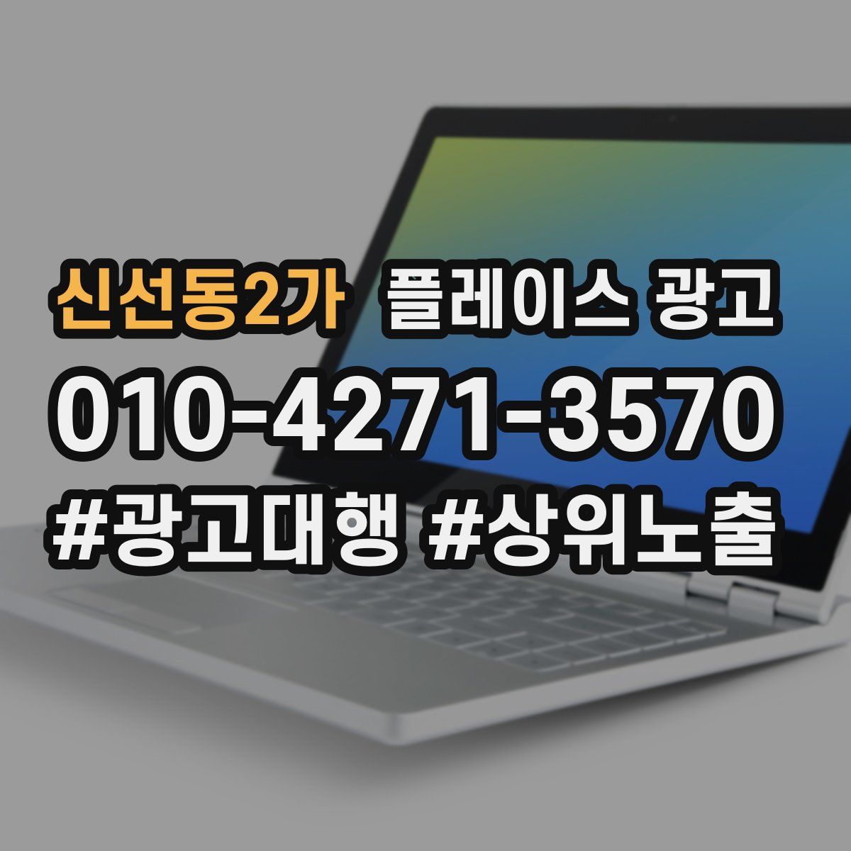 신선동2가 플레이스 광고